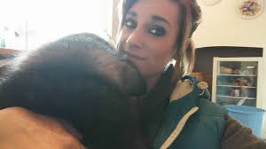 Alaskan malamute photo of the day