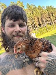 Is my buff orpington a rooster?