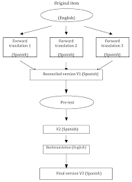 Flow Chart Of The Translation Process