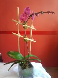 Ratings, reviews and photos from the local customers and articles about flowers by richard. Flowers By Richard Nyc Same Day Flower Delivery New York Wedding Florists