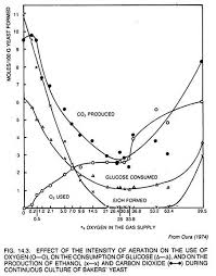 Production Of Bakers Yeast Industrially Process