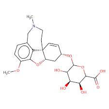 Image result for Galantamine