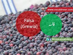 Fruits Vocabulary With Urdu Hindi Pictures Vocabulary In Urdu Fruits Names With Pictu Fruits Name With Picture English Prepositions Basic English Sentences