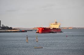 Image result for Rouge Marina 1985 UMM