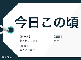 TRANS.Biz