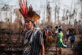 A downloadable game for windows, macos, and linux. Greenpeace Chief Mapu Of The Huni Kuin Tribe In Brazil