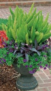 Pin By Claudia Ordonez On Landscaping With Beautiful Pot Plants Container Gardening Flowers Garden Containers Container Gardening Vegetables