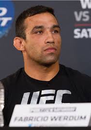 Fabricio Werdum's Second Coming