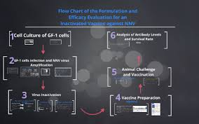 Society and culture regulation  edit  until 2007, in the united states, lugol's solution was unregulated and available over the counter as a general reagent , an antiseptic , a preservative , 27 or as a medicament for human or veterinary application. Flow Chart For The Formulation Of Inactivated Vaccine Agains By Johana Gini