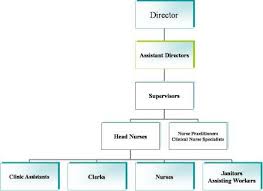 42 Perspicuous Nurse Organizational Chart