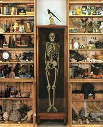 Pin By Andrey Ilinykh On Cabinets Of Curiosities Cabinet Of Curiosities Collections Of Objects Gothic Decor