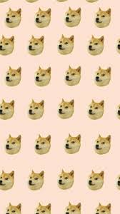The great collection of doge wallpapers for desktop, laptop and mobiles. My Current Doge Wallpaper Doge Iphone Wallpapers Background Dogecoin 1920x1080 Wallpaper Teahub Io
