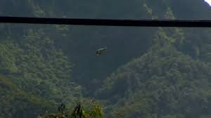 NTSB: Pilot error to blame for deadly plane crash in Waipio 1 year ago