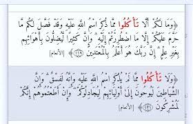 بيان آية ١١٨ إلى آية ١٢١ من سورة الأنعام من خلال أحسن البيان True Islam From Quran حقيقة الاسلام من القرآن