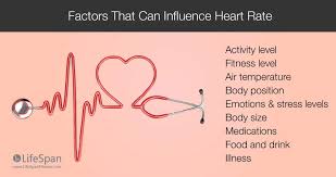 Resting Heart Rate Chart Healthy Heart Rate