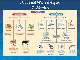 6 L 4b 1 Common Characteristics Of Vertebrates Invertebrates