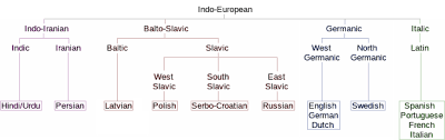 Indo European Languages Essential Humanities