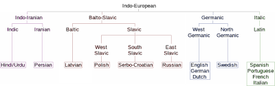 indo european languages essential humanities