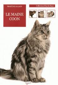 Il convient aussi pour offrir un espace de jeu, de griffade et de repos complet à un chat seul. Amazon Fr Le Chat Maine Coon Allain Martine Rocher Philippe Livres