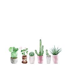 Maybe you would like to learn more about one of these? Cute Succulent Wallpapers Top Free Cute Succulent Backgrounds Wallpaperaccess