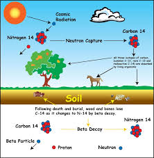 Certain radioactive dating is the age in this means. Does Carbon 14 Radiometric Dating Undermine The Bible Or Confirm It Veracity