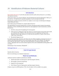 precise flow chart microbiology lab report gram positive and