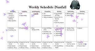 Maybe you would like to learn more about one of these? Jadwal Harian Naufal Kayyisha Sakolabumi