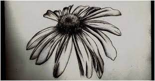 Latest Tattoos Daisy Tattoo Daisy Tattoo Designs Tattoo Sleeve Designs