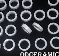 Zirconia ceramic seal ring - Industrial ceramics