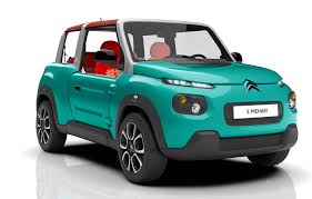 Image result for Brown Squirrel 2014 Peugeot