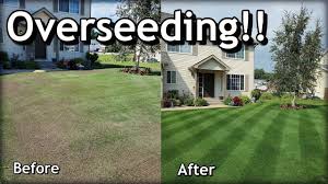 However, if you are going. How To Overseed A Lawn The Right Way Eathappyproject