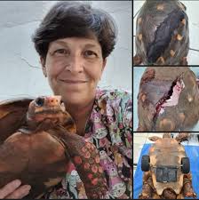 That woman could really move your soul.