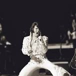 A Night With Ultimate Elvis: The Hits & Christmas Classics