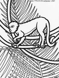 Maybe you would like to learn more about one of these? Rainforest The Coloring Barn Printable Coloring Pages Monkey Coloring Pages Animal Coloring Pages Animal Coloring Page