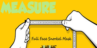 How Do I Measure My Face For A Seabeast Mask Seabeast