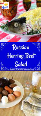 Pin On All Gala S Recipes And Blog Content