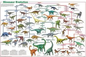 Dinosauer Evolution Educational Science Teacher Classroom Chart Print Poster 24x36