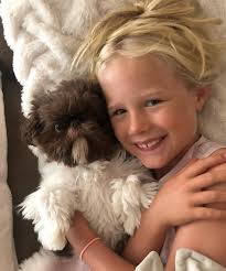 AI Shih-Tzu messing with our brains 😂