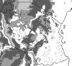 Image result for Saintpauliopsis lebrunii