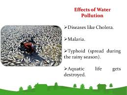 How To Avoid Water Pollution Rivers Should Not Be Used For Washing Clothes Orbathing Animals Water Pollution Effects Of Water Pollution Environmental Pollution