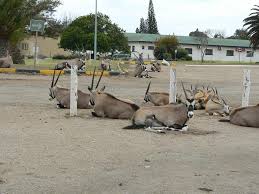 Find the best hotels and accommodation in oranjemund by comparing prices from the top travel providers in one search. Oranjemund Ab Oktober Offen Fur Besucher Lokales Allgemeine Zeitung