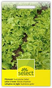 Der übersichtliche jahreskalender verrät ihnen monat für monat, welche arbeiten im erdbeerbeet gemüse im herbst pflanzen: Gemuse Furs Hochbeet Die Richtige Auswahl Lubera Blog