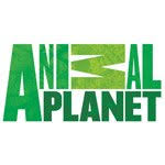 тв онлайн смотреть прямой эфир бесплатно топ 50 каналов Tv Onlajn Smotret Pryamoj Efir Besplatno Top 50 Kanalov Str 3 Pryamoj Efir Tv