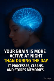 Why do animals sleep? Here's research supporting the theory that sleep is  necessary in order to clear the brain of unneeded byproducts of neural  activity. The brain's glymphatic system promotes movement of