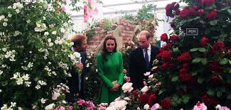 Chelsea Flower Show Bilder Vom Hersteller Fur Metalldeko Im Garten