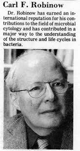 Diatoms from 1877 by John T. Redmayne article by Robert Berdan
