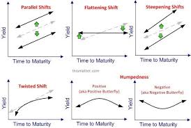 Manual For Yield Curve Intervention Sober Lookfinis September 22 2016 At 12 31am Via If Investing Smart Investing How To Get Rich
