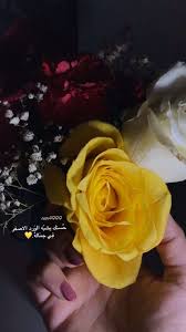 pin by hayam elzwi on flower cute love images love images photo ideas girl