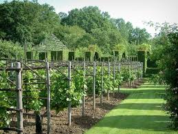 Pin By Paisley Rune On Gardens Plants Charming Garden Beautiful Gardens