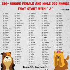 Search beautiful names beginning with jo by gender & religion Dog Names That Start With J For Girl And Boy Dog